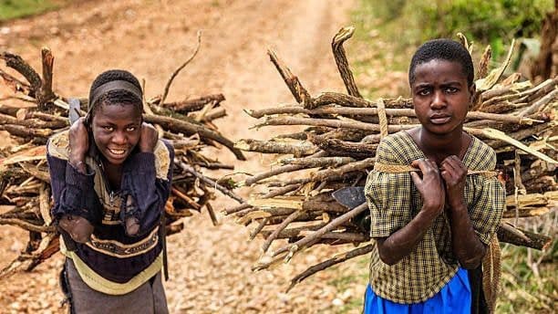 Dia Mundial Contra o Trabalho Infantil